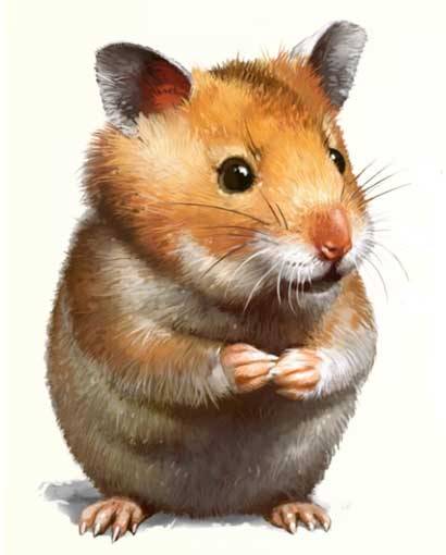 sf - hamsteri