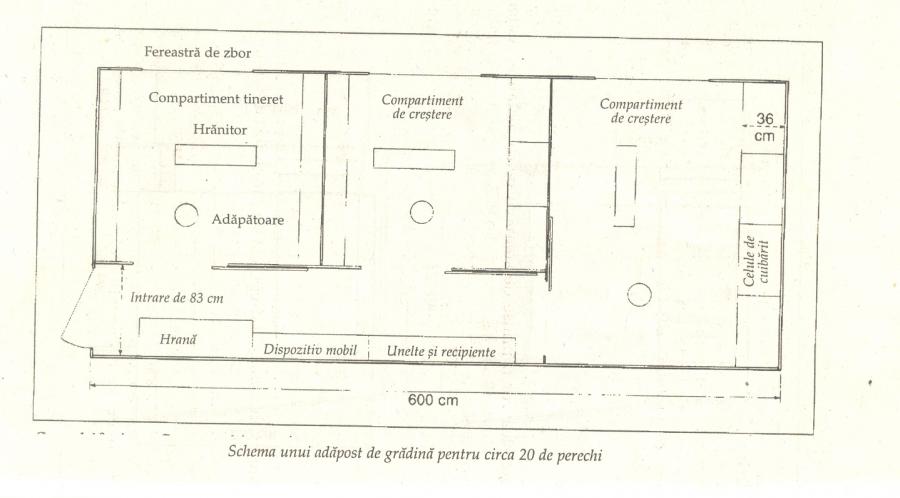 vedere interior - adapost de gradina