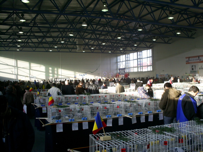 S4021396 - v  EXPO  BRASOV 2010