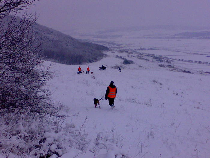 20090214274