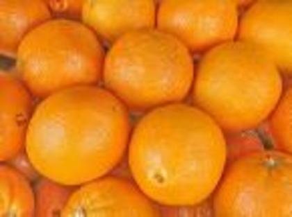 tot portocale - PORTOCALE