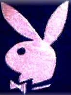 Pink Glitter Playboy Bunny Graphics; Pink Glitter Playboy Bunny Graphics
