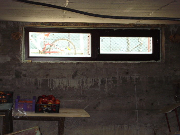 DSC02504