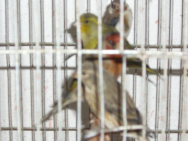 Copy (2) of CIMG0875