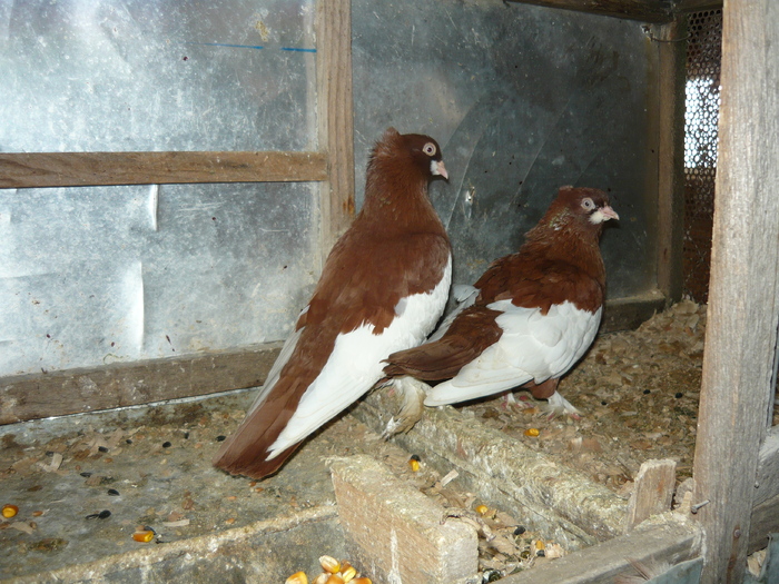 P1000744