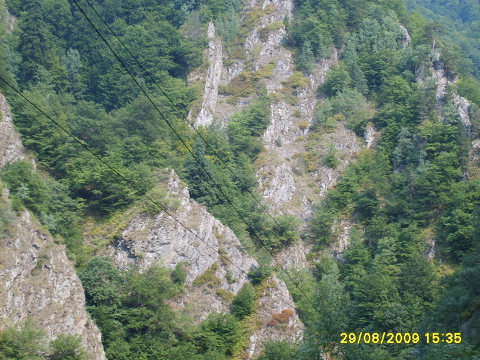 S5000064 - transfagarasan