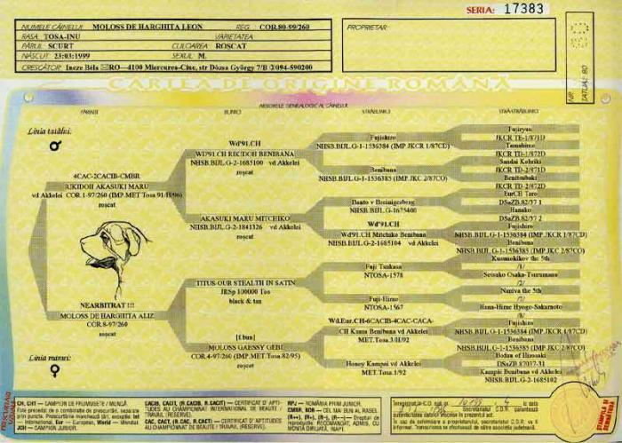 leon pedigree - Leon Moloss de Harghita NET
