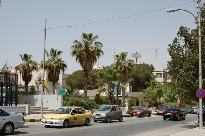 DSC_0049 - Flori Amman