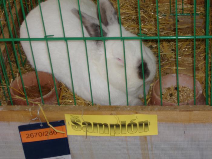 Nitra 06.12.2008 055