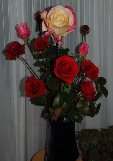 trandafiri 9noiembrie2009 - trandafiri Aninoasa