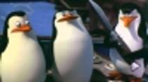 pinguin9 - Madagascar 2