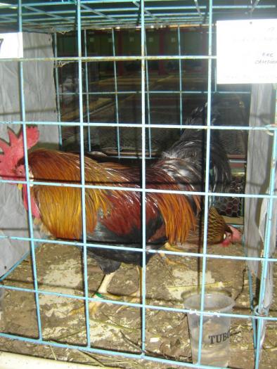10-14 nov 2008 028