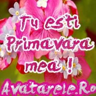 50 - poze avatar primavara