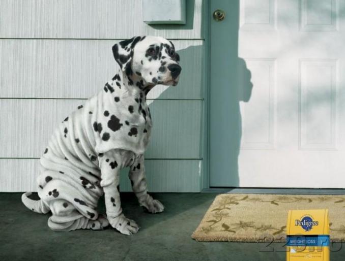 from_220_ro_16268 - animale si flori