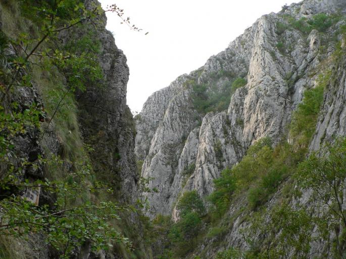 P100086