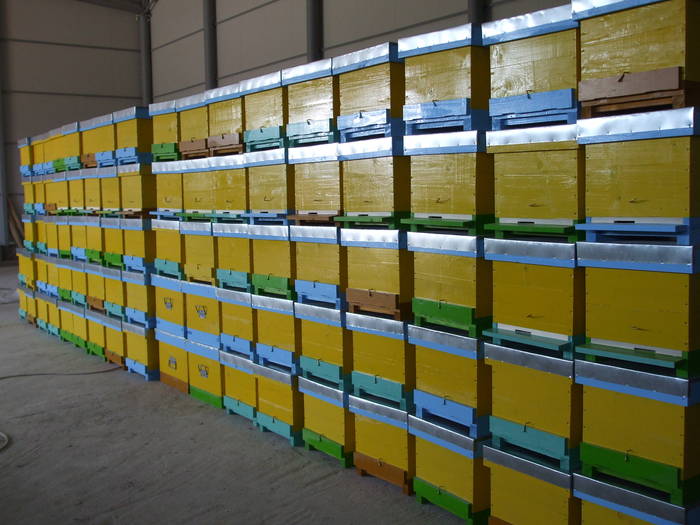 DSCF1256 - Atelierul