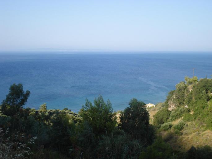 Argassi