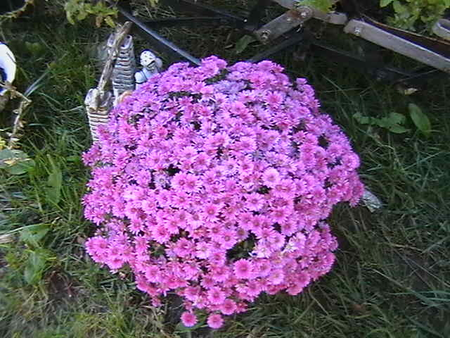 Picture 085