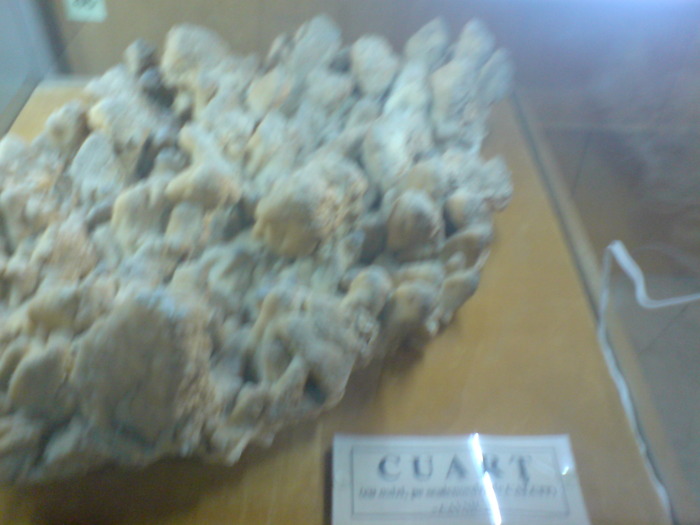 DSC00493 - STEFY BUCURESTI - MUZEUL DE GEOLOGIE