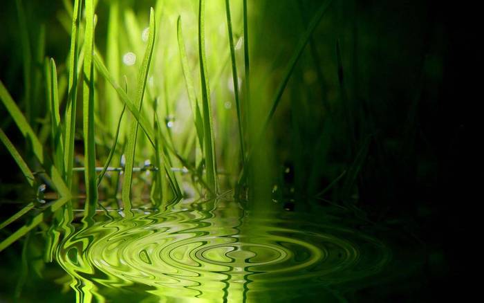 glassEffect02 - Glass Wallpapers