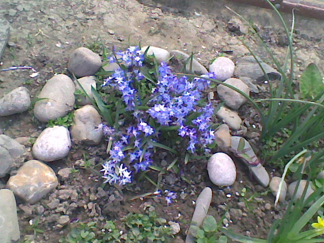 Imag070