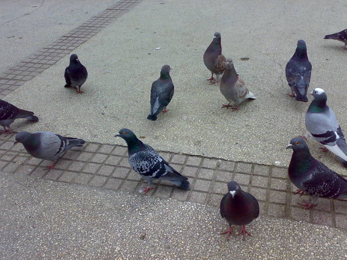 180320091942
