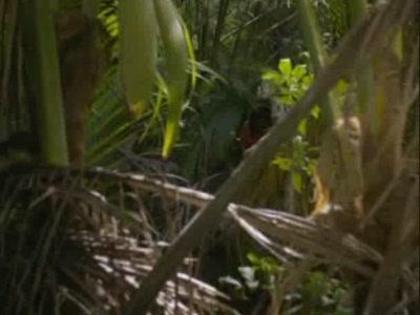 Wizards_of_Waverly_Place_The_Movie_1252727119_2_2009 - Poze cu desene emisiuni etc