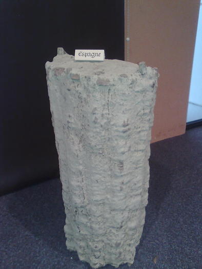 Imagine1091 - ApiMondia