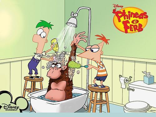 Phineas_and_Ferb_1248380677_4_2007 - Poze Cu  Phineas Si Ferb