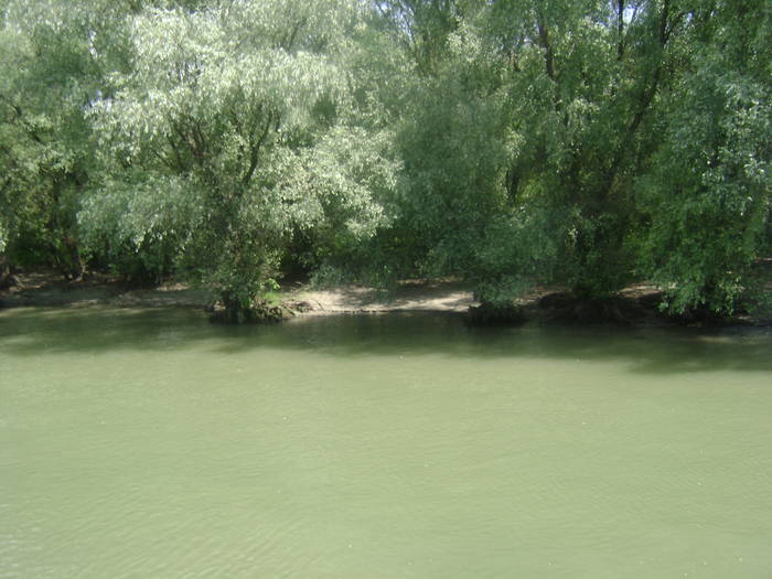 excursie delta dunarii 5062009 080 - EXCURSIE  in DELTA