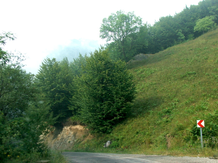 DSCF4904 - Valea Cernei