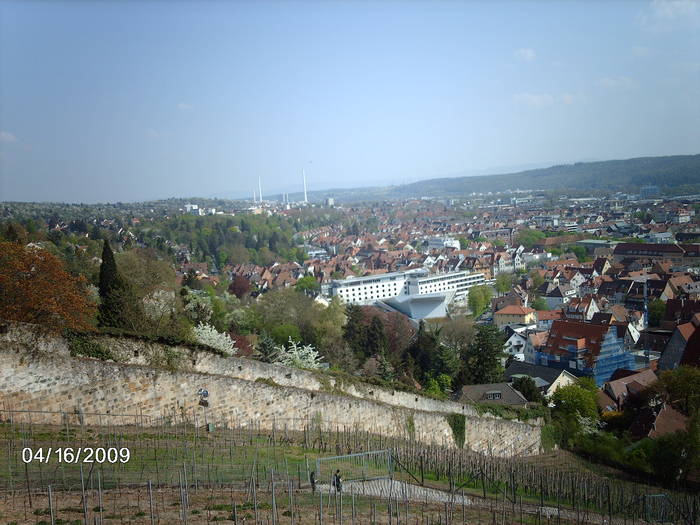 IMG_3867; ESSLINGEN VAZUT DIN PARC
