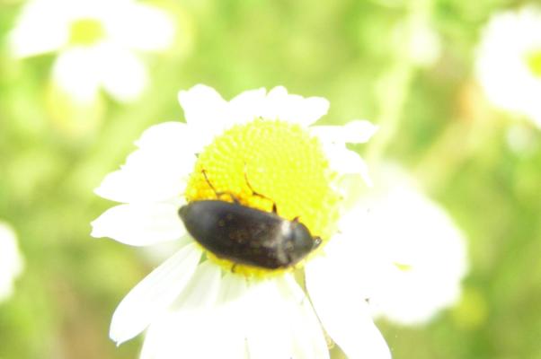 P7140088