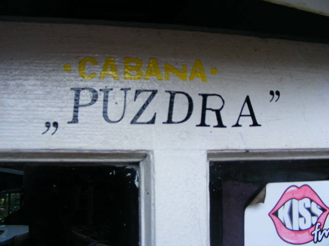 DSCF3384 - Prepelitele mele