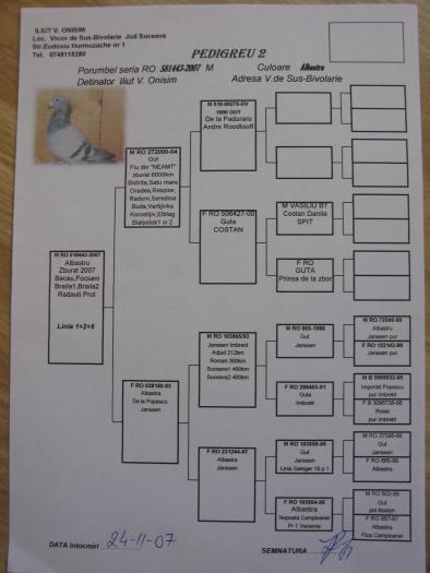 RO 581443-2007 M - 8-pedigree