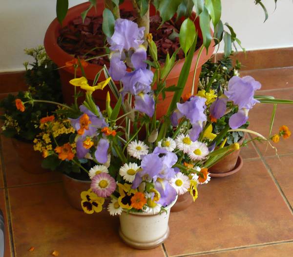P1120024
