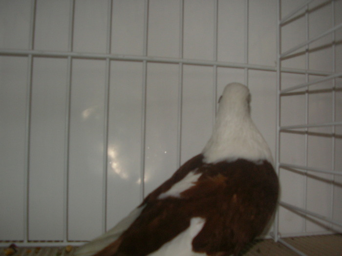 SANY0103