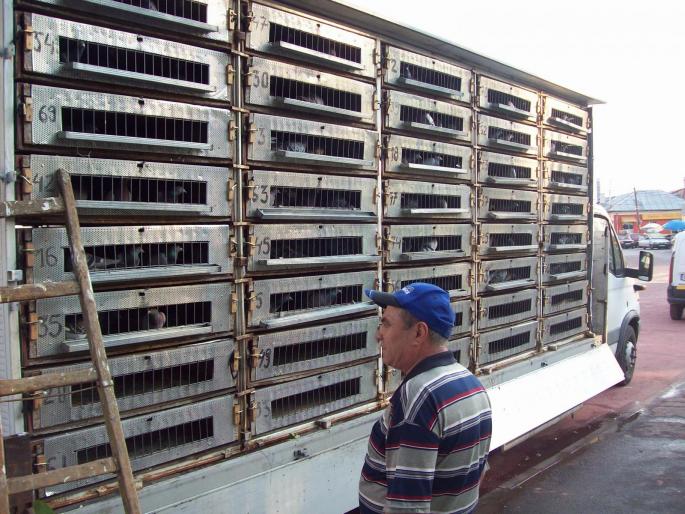 gmg22 035 - ASC grivita concurs 2008