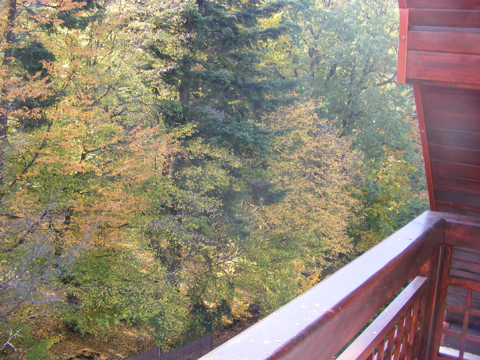 Vedere de la unul din balcoanele camerei mele - Intalnire la  Castelul Dobru