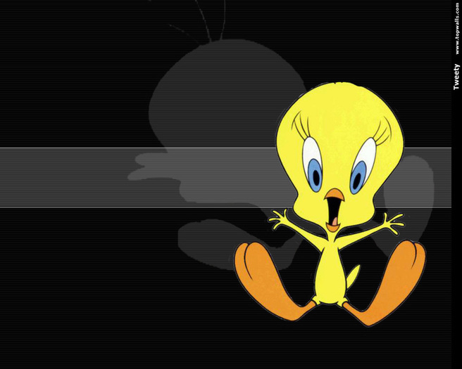 Tweety-Wallpaper-tweety-bird-6041198-1280-1024 - Tweety