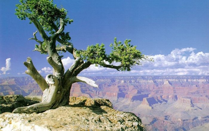Nature_Wallpapers-026-www.TheWallpapers.org-