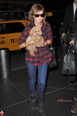 si maui - ASHLEY SI CATEII