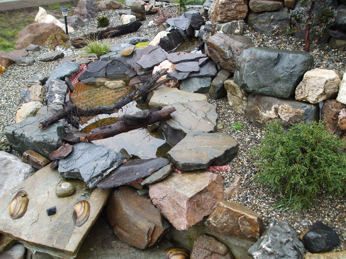 Picture 238 - Amazing rock