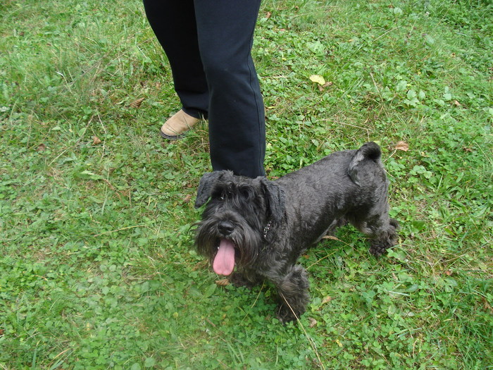 DSC04848 - 2009 OLANESTI SEPTEMBRIE