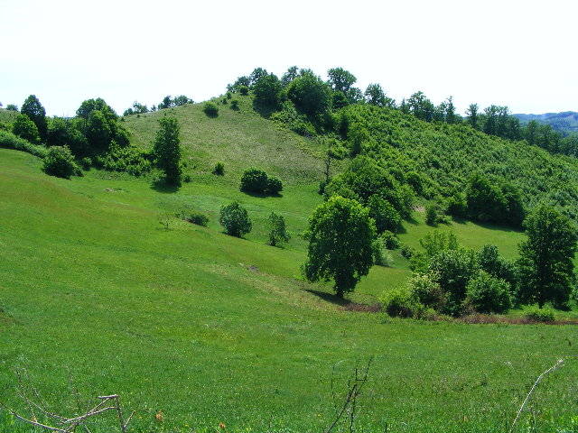 DSCF0532