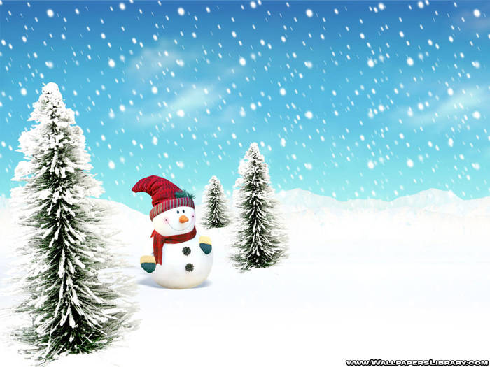 SM2 - Christmas SnowMan 1
