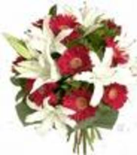 images_12