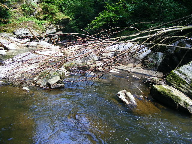 DSCF5206