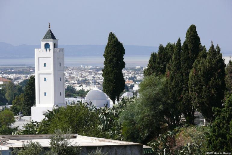 Tunisia_718 - Tunisia