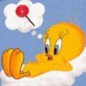 21180128581[1] - Poze TWEETY